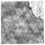 ferritin_quartz500pix.jpg